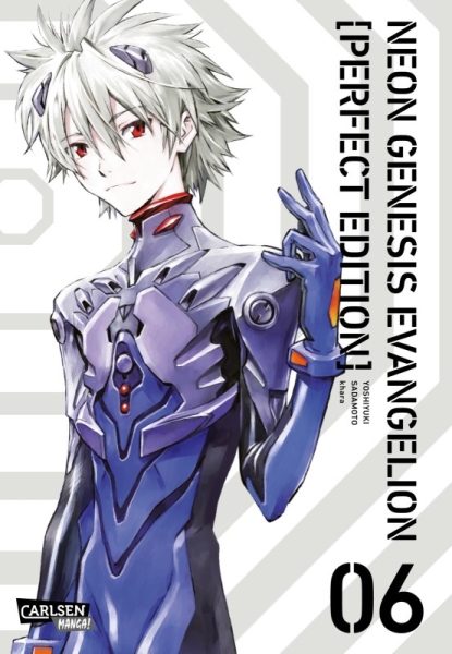 Neon Genesis Evangelion - Perfect Edition 6